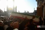 دبب