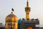 صضثضصثصض