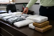 کشف ۹ کیلو «گل و ماشروم» در مخفیگاه قاچاقچی سابقه‌دار در غرب تهران