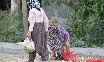 بیش از ۱۴ میلیون نفر در ترکیه سوء تغذیه دارند