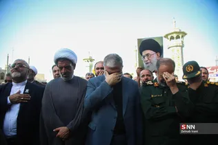 دبب