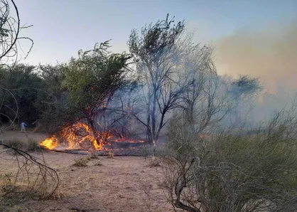 یک قدم مانده تا مهار آتش&zwnj;سوزی گسترده در پارک ملی دز دزفول/درصورت ادامه دارد بودن آتش، هواپیمای ایلیوشین به منطقه اعزام می&zwnj;شود