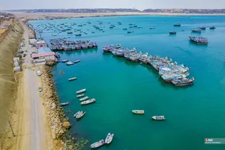 بریس
