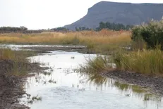 ناخوش احوالی جازموریان / خشکی تالاب و هزار بلای محیط زیستی برای جنوبی‌ها!