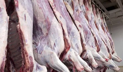 تخلفی درباره سلامت گوشت&zwnj;های قرمز وارداتی گزارش نشده است