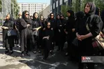 کاشانی