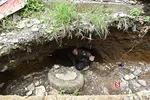 ماراوی