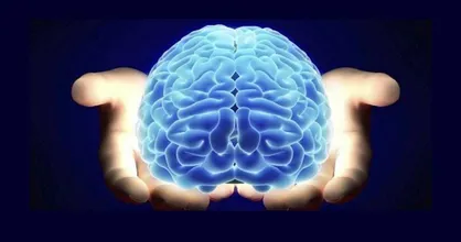 فراخوان حمایت از طرح&zwnj;های علوم شناختی اعلام شد/ اجرای ۱۶۰ طرح پژوهشی علوم شناختی در کشور