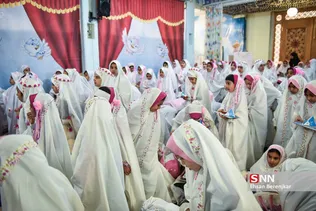 زیسرب