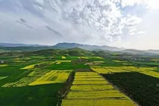 ضرورت اجرای طرح توانمندسازی زنان سرپرست برای تحقق عدالت اجتماعی