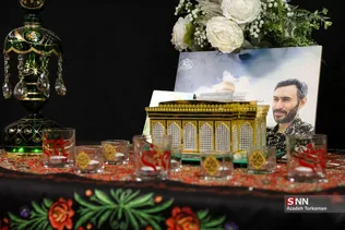 دبب