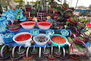 ماهی قرمز و سبزه شب عید