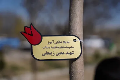 کاشت ۲۲ هزار اصله درخت مثمر در مدارس کرمان