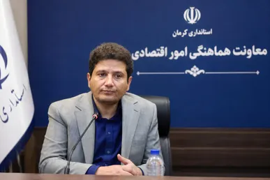 معاون استاندار کرمان: با کوتاهی بانک‌ها در پرداخت تسهیلات به طرح‌های تولیدی برخورد خواهد شد