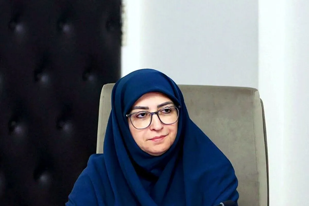 انصاری: نگاه توسعه اقتصادی کشور محیط زیست محور نبود/ در بدنه اداری کشور محیط زیست را محیط ایست تلقی می‌کنند! + فیلم