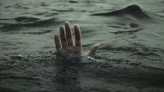 خواهر و بردار قربانی جدید سلفی