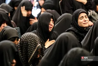 دبب