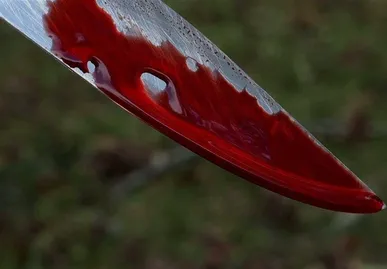 کشف جسد بانوی مفقود شده در لامرد/ ۲ مظنون دستگیر شدند