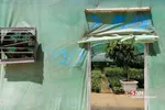 روز گل وگیاه-بازار گل و گیاه شهید فکوری