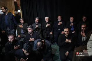 دبب