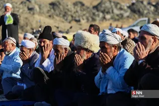 دبب