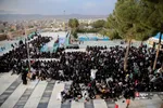 دبب