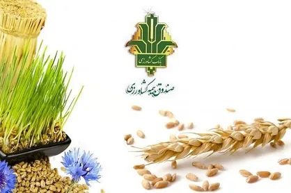 ۶۵ میلیارد و ۴۱۳ میلیون غرامت به کشاورزان سیل زده پرداخت شد