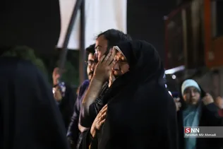 دبب