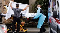 آمار حقیقی مبتلایان کرونا در آمریکا ۳ تا ۲۰ برابر بیشتر از آمار رسمی است