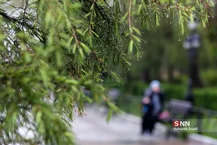 هوای بارانی تهران
