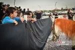 ایسلب