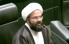 نیک بین: دنبال بررسی دقیق لایحه عفاف و حجاب هستیم / مجلس مخالف بی‌بند و باری است