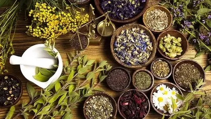 ایده&zwnj;های نوآورانه در ۴ حوزه گیاهان دارویی حمایت می&zwnj;شوند