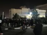 دانشگاه شیراز