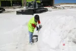دبب