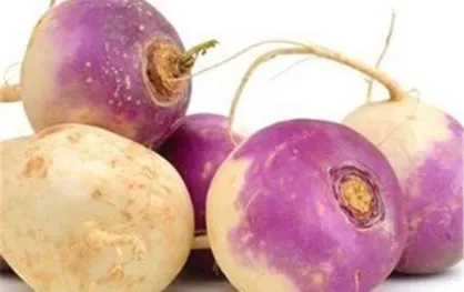 این میوه کمر سنگ کلیه را می&zwnj;شکند
