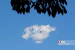 خهتهخحت