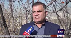 گلعلیزاده: تعطیلی مدارس راه حل رفع مشکل آلودگی هوا نیست
