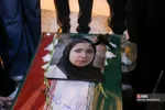 دبب