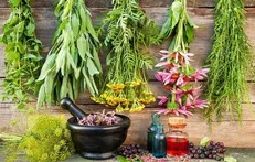 کهگیلویه‌وبویراحمد در حوزه گیاهان دارویی ظرفیت بالایی دارد