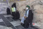 زائر