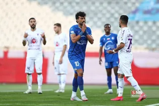 دبب