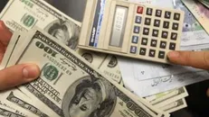 دلایل دولت برای ارائه ارز ۴۲۰۰ تومانی کاملا سیاسی است