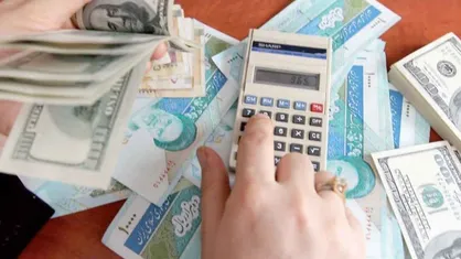 خیلی&zwnj;ها بر اثر بی توجهی به عواقب سیاست&zwnj;های اقتصادی به ثروت&zwnj; هنگفتی رسیدند