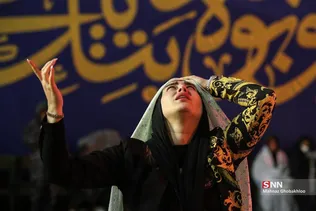 دبب