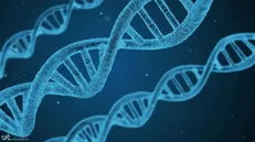 ساختار جدیدی از DNA ویروس‌ها را به دام می‌اندازد