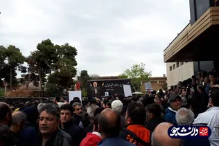 مشایخی