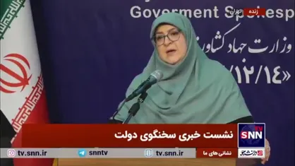 واکنش مهاجرانی به استیضاح همتی: برای هیچ دولتی از دست دادن یکی از افراد کابینه مطلوب نیست اما این حق مجلس است/ هیچ کس خرده&zwnj;ای به دل ندارد