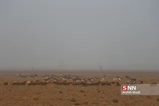 ه