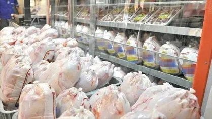 محدودیتی در تامین مرغ و تخم مرغ گلستان وجود ندارد